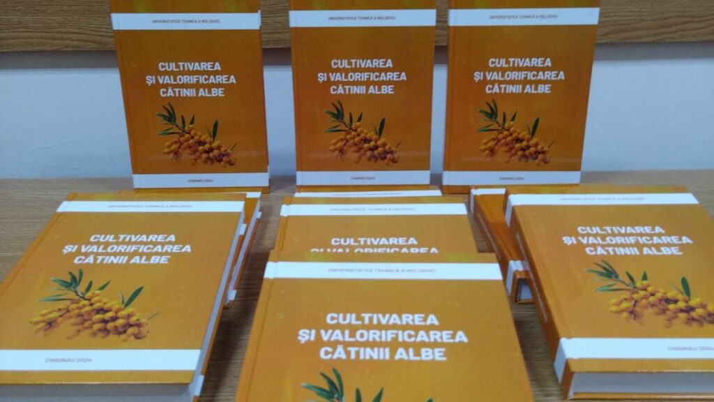 2024 07 29 catina