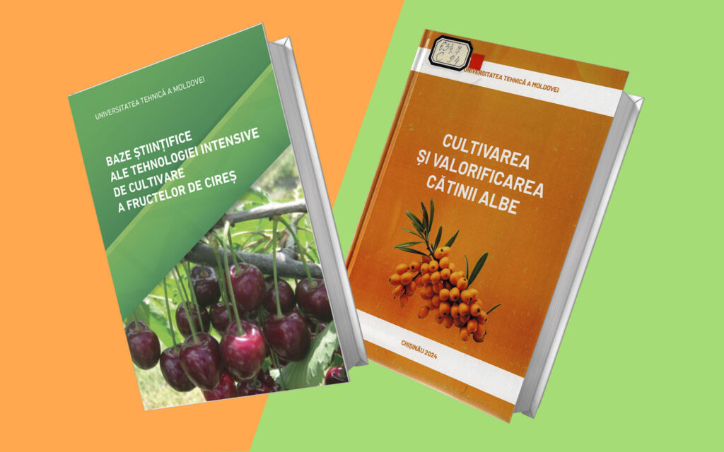lansare 14.11.2024
